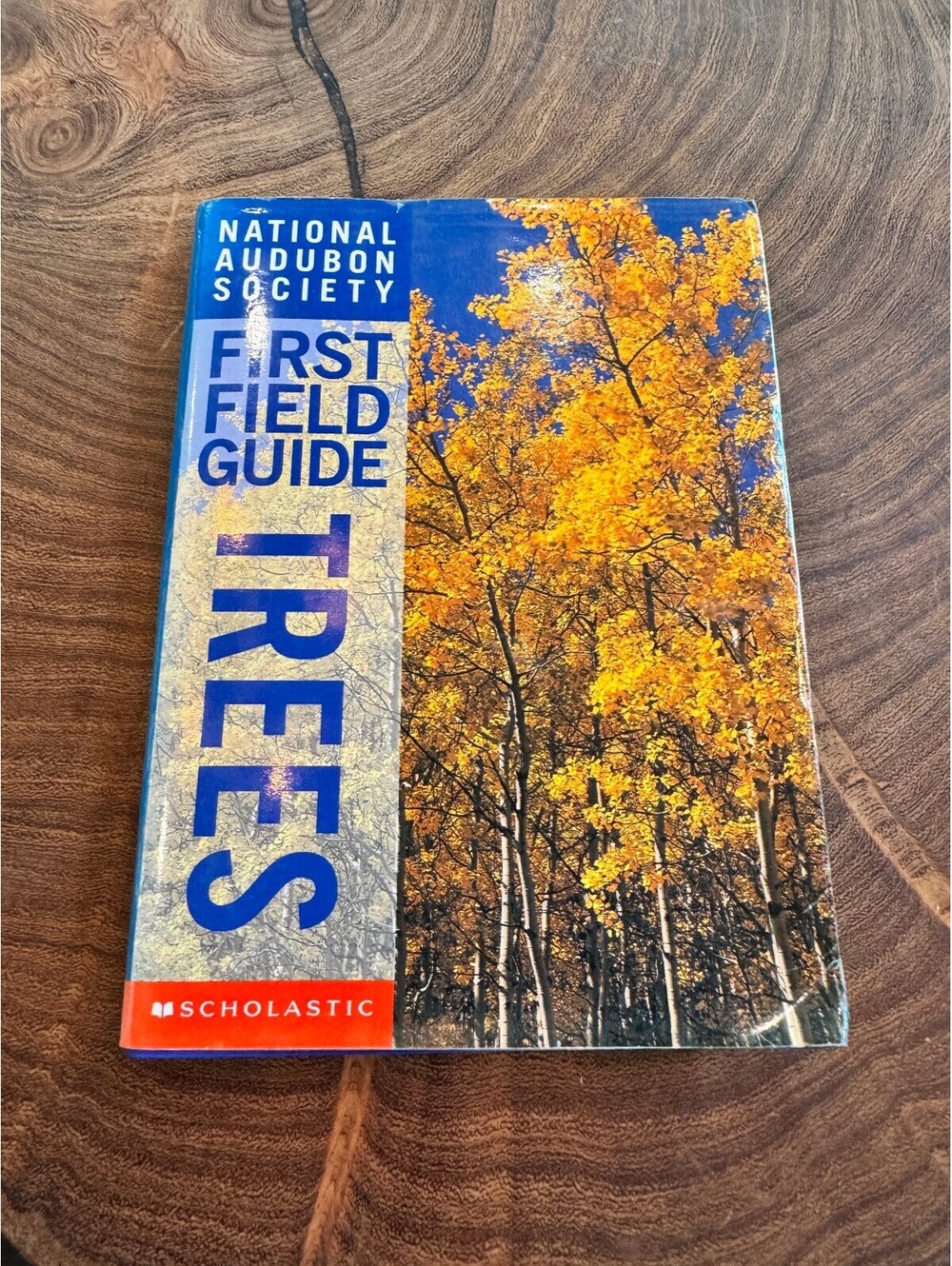 National Audubon Society First Field Guide: Trees (Scholastic Paperback)